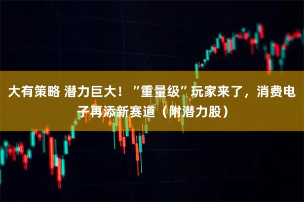 大有策略 潜力巨大！“重量级”玩家来了，消费电子再添新赛道（附潜力股）